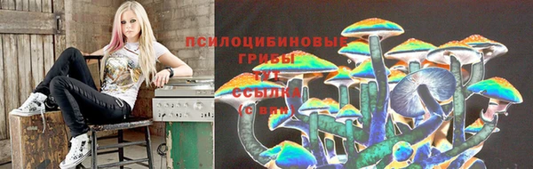 винт Аркадак