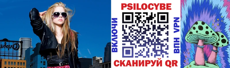 Галлюциногенные грибы Psilocybe  Валдай 